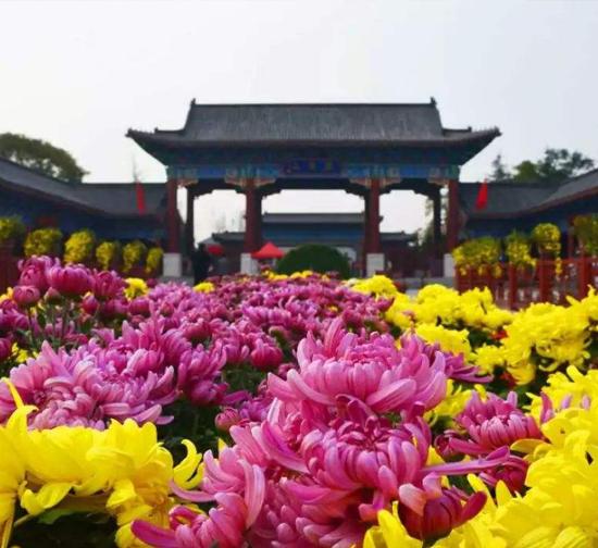 扬州公园菊展施工